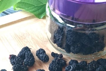 sugar free mulberry sweets-candies