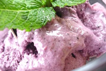 sugar free mulberry mint ice cream