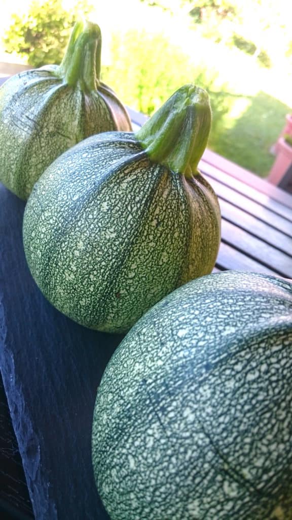 low carb eggplant zucchini parmigiana