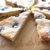 Sugar Free Lemon & Blueberry Double Baked Cookies