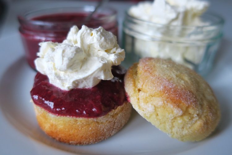 Low Carb & Sugar Free Devonshire Scones
