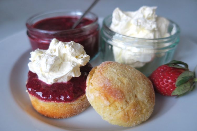 Low Carb & Sugar Free Devonshire Scones