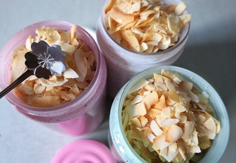 Sugar Free Crunchy Coconut Flakes